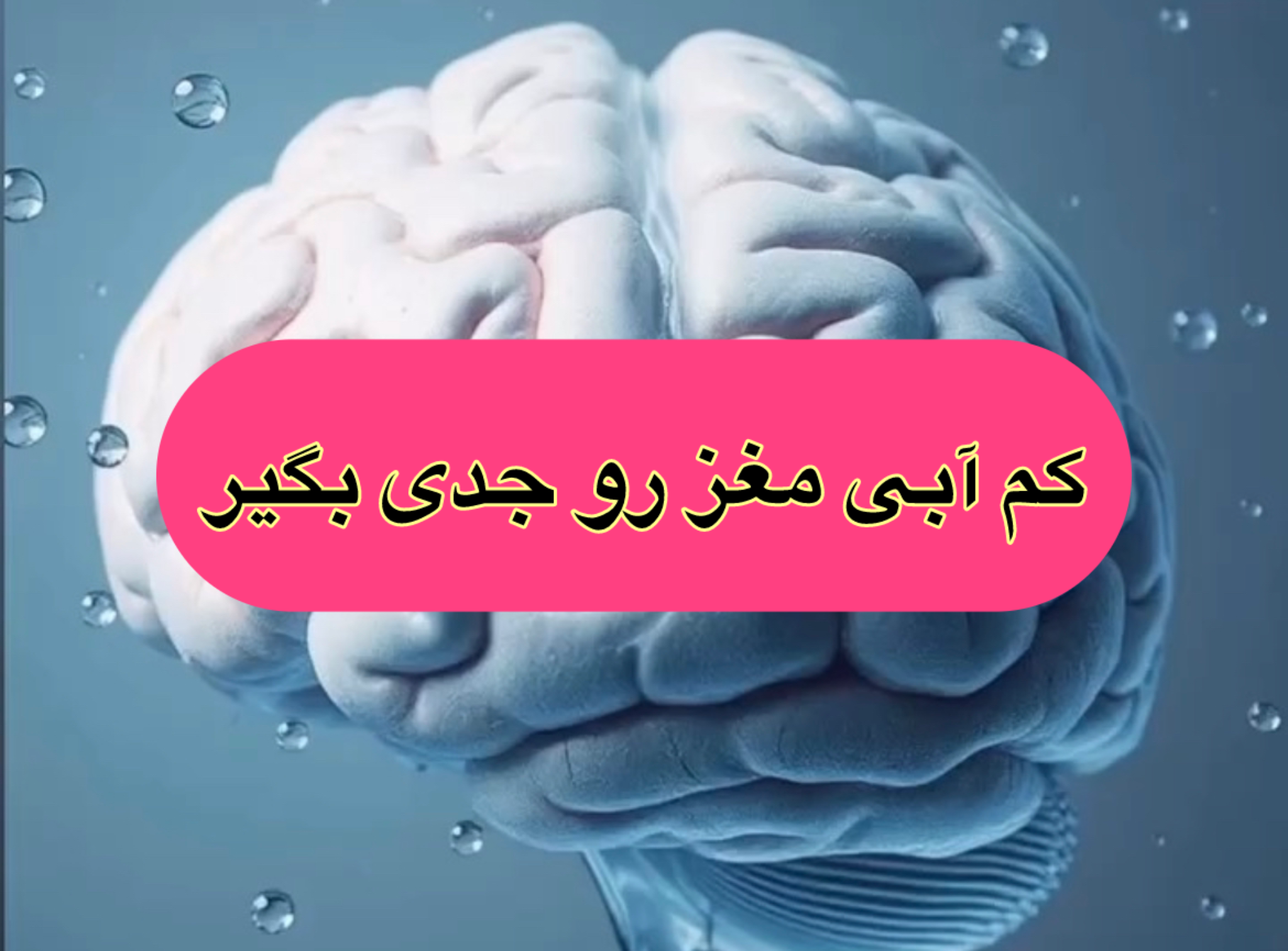 اهمیت آب برای مغز