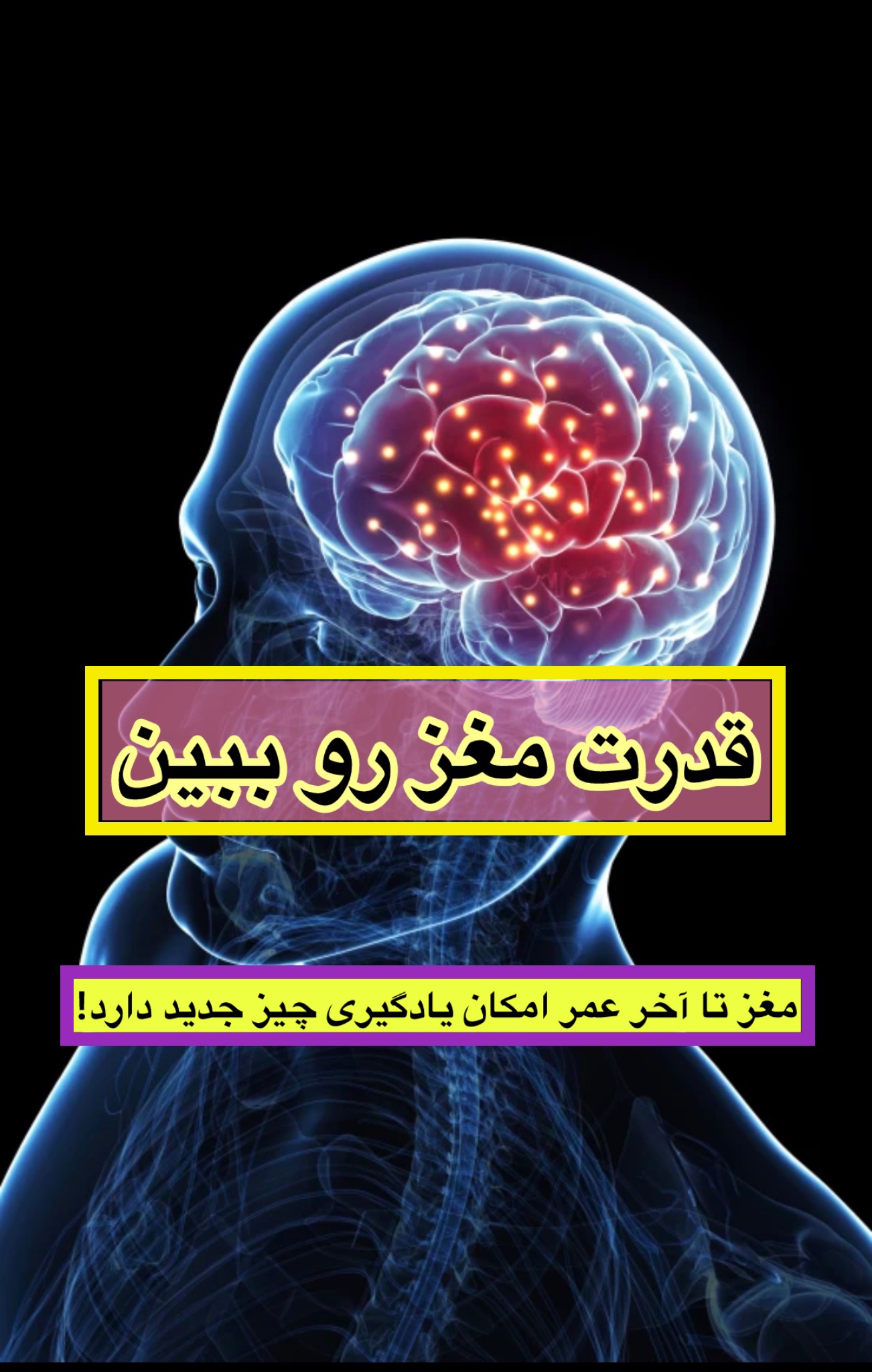 وضعیت مغز در طول یادگیری و درمان