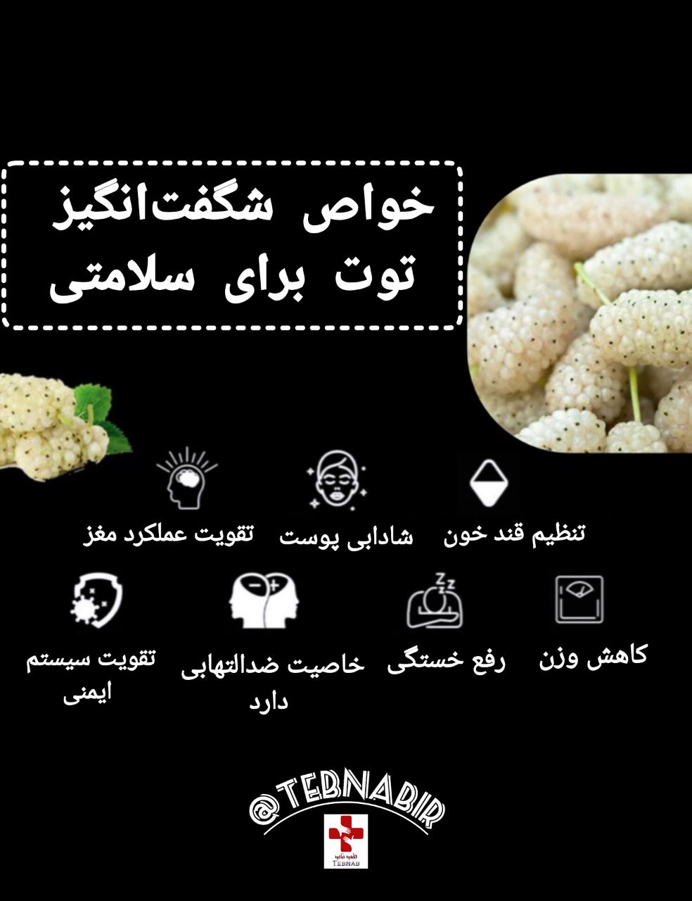 فواید توت