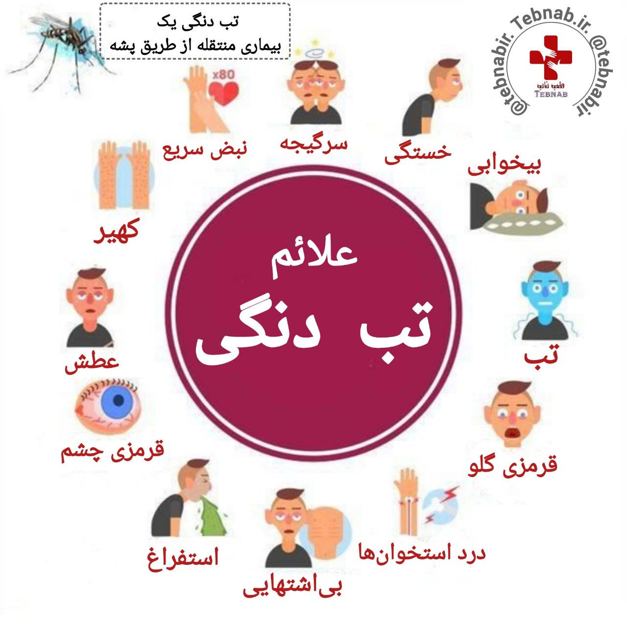 تب دنگی: علائم