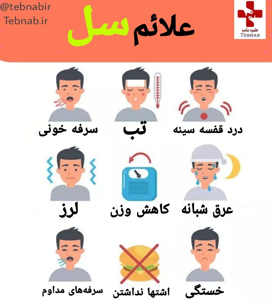 سل چیست؟!